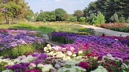 Альпійський куточок