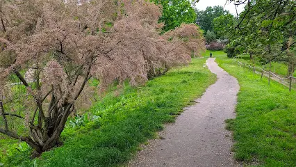 Флора Середньої Азії