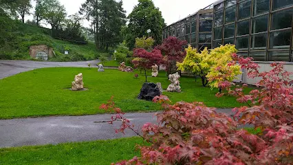 Сад Каменів