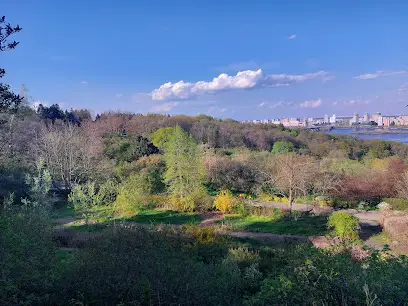 Ботанічний сад