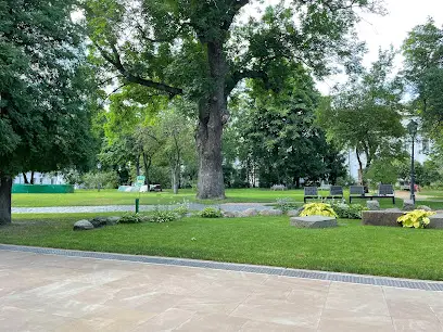 Віковий Ясен