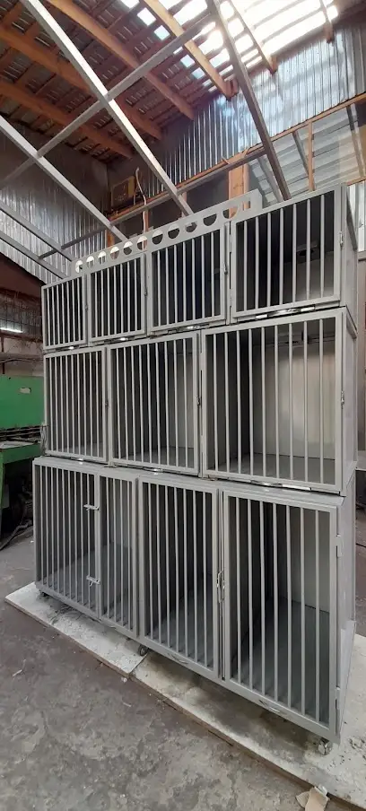 ООО "Медисвет"