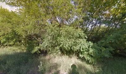 ТЕЦ (СТОЛОВА)