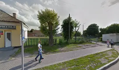 VIA Континент