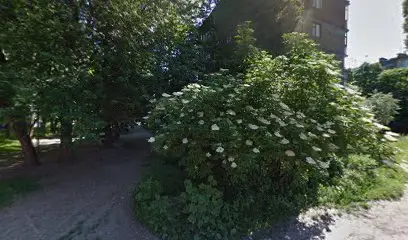 Ремонт ноутбуков и компьютеров с выездом на дом. Asus , Lenovo, Samsung, Acer, MSI,Apple